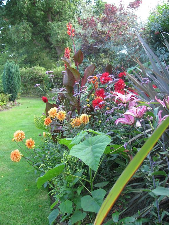 The Corner House Bed and Breakfast Rye Rum bild