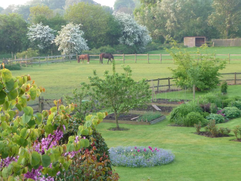 The Corner House Bed and Breakfast Rye Exteriör bild