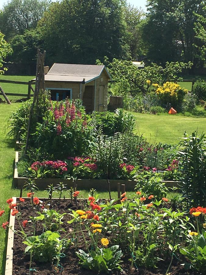 The Corner House Bed and Breakfast Rye Exteriör bild